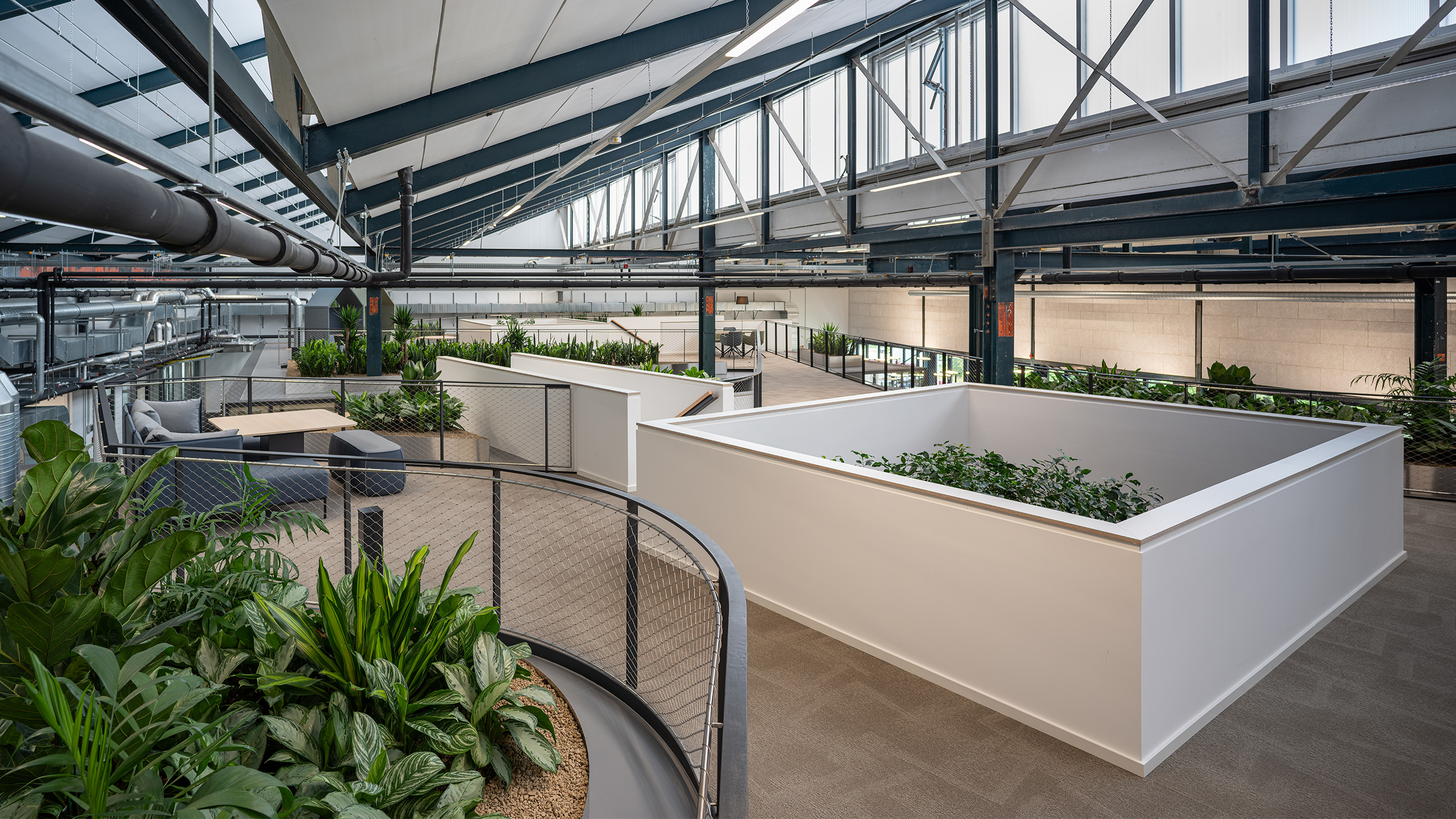 NOVA 10 in Neufahrn bei München – Revitalisierung einer ehemaligen Produktionshalle zu einer modernen, lebendigen Bürolandschaft durch Bottler_Lutz Architekten BDA, München. Das Projekt steht beispielhaft für hochwertiges Bauen im Bestand und zeigt die Transformation industrieller Architektur in flexible, zeitgemäße Arbeitsräume. Fotografie: Michael Heinrich.