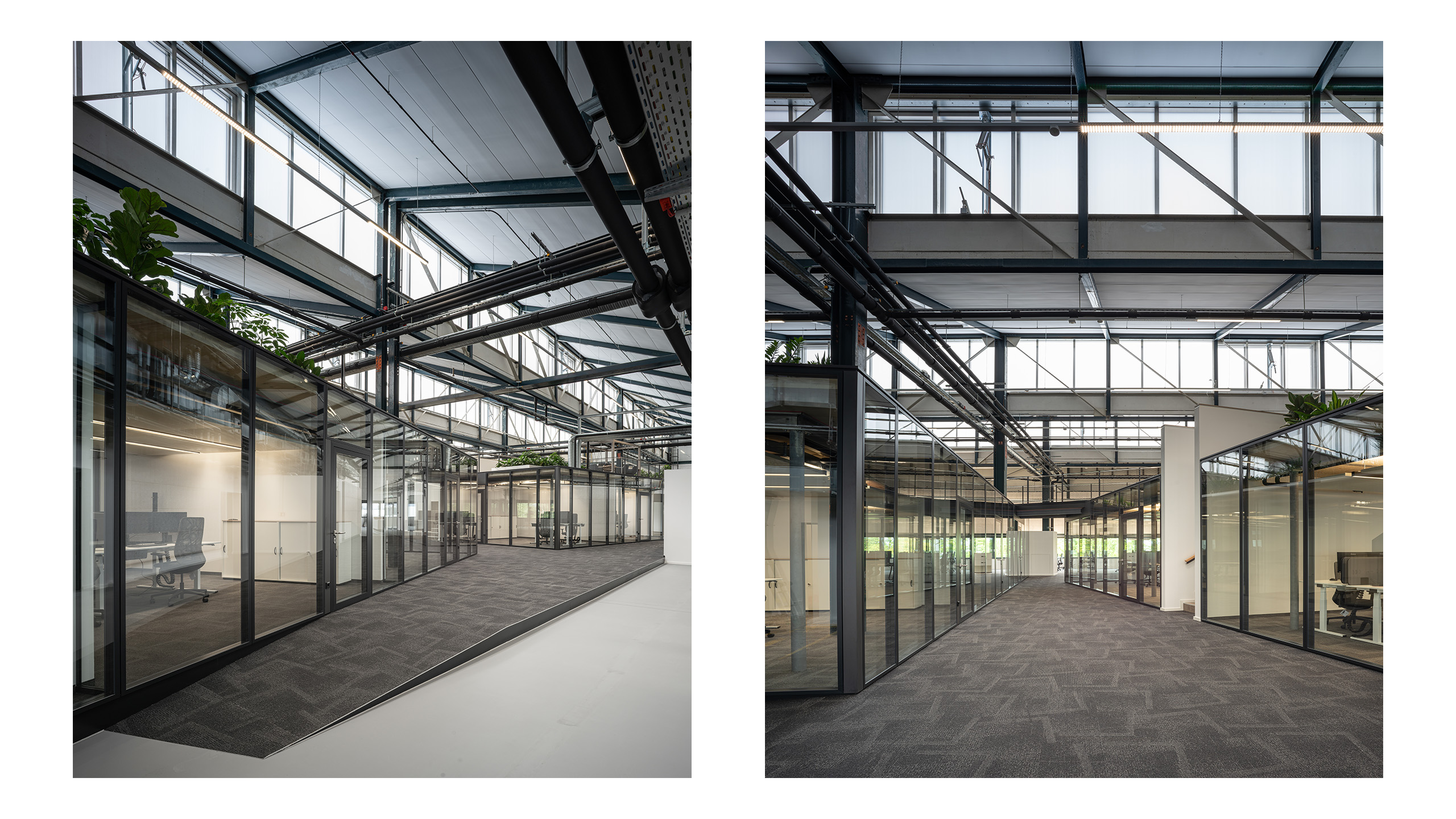 NOVA 10 in Neufahrn bei München – Revitalisierung einer ehemaligen Produktionshalle zu einer modernen, lebendigen Bürolandschaft durch Bottler_Lutz Architekten BDA, München. Das Projekt steht beispielhaft für hochwertiges Bauen im Bestand und zeigt die Transformation industrieller Architektur in flexible, zeitgemäße Arbeitsräume. Fotografie: Michael Heinrich.